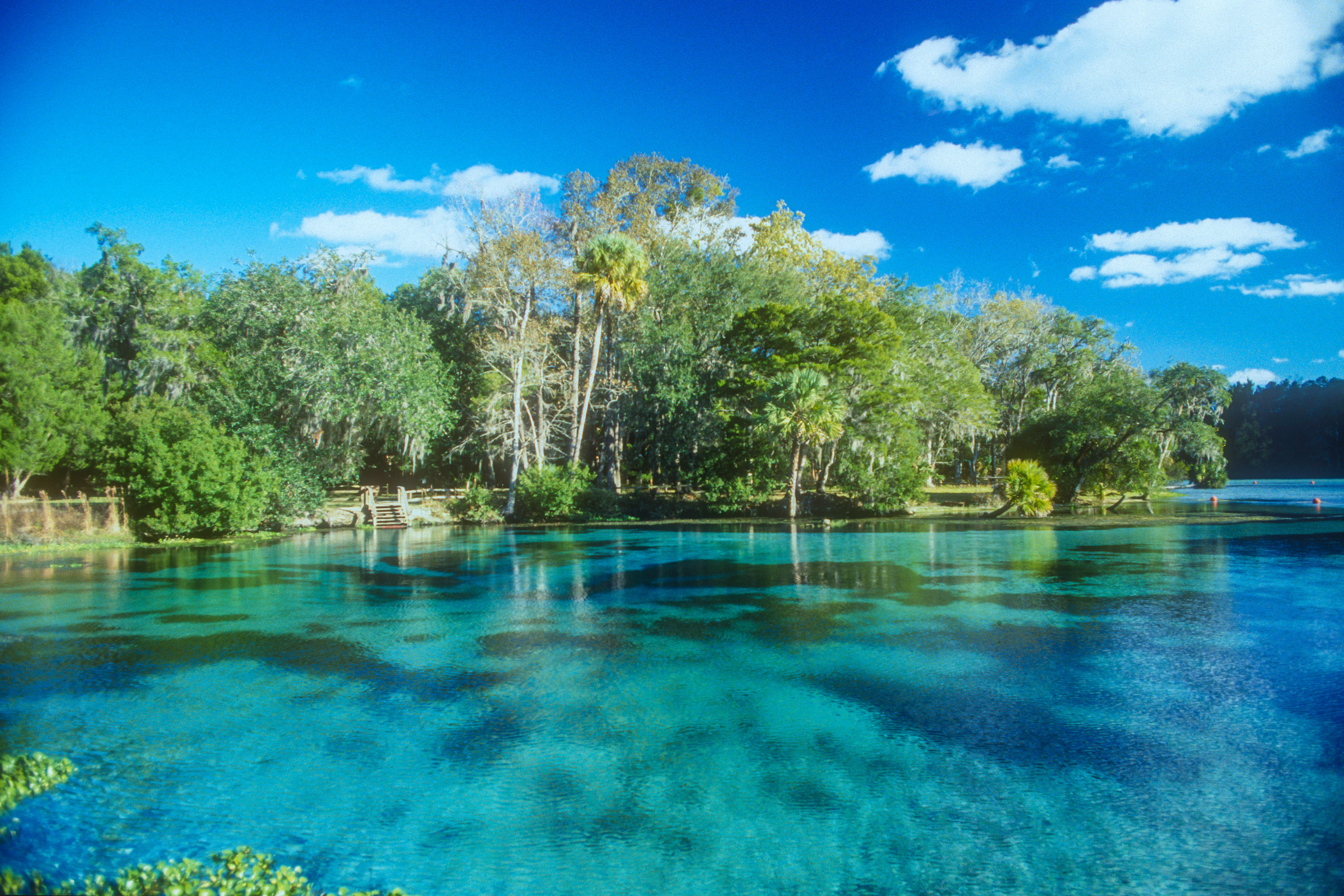 hanmer springs (2).webp